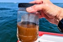 A hand holds a clear jar half-full of brown water, with the ocean in the background.